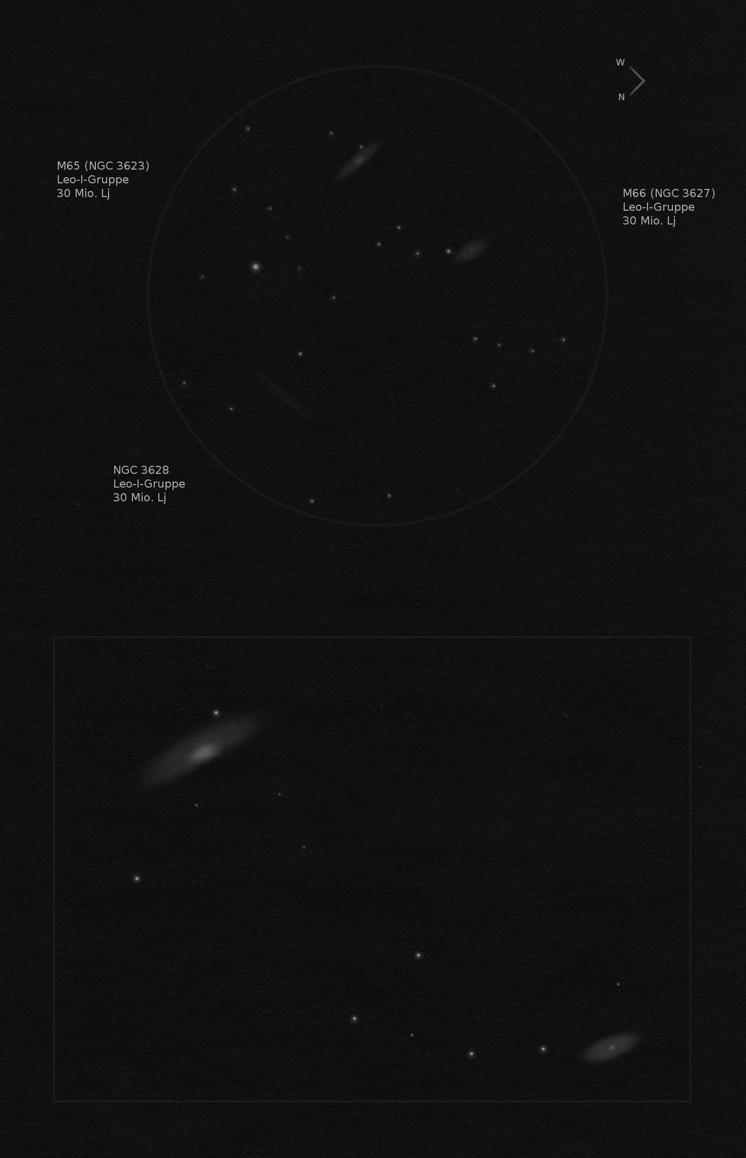 M66-Gruppe - Leo Triplet (Zeichnung)